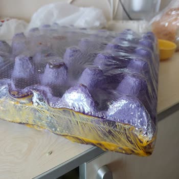 Tarım Kredi Kooperatif Market Online Market Siparişimdeki Yumurta, Çürük Ve Kurtlu Çıktı