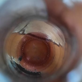 Avşar Maden Suyu Küflü Karadutlu Soda