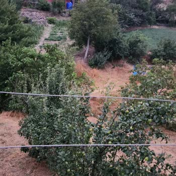 Toroslar TEDAŞ Tarlamızdaki Direk Tehlike Saçıyor