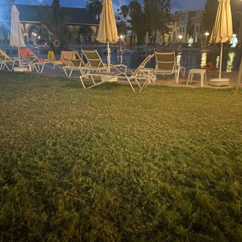 Loxia Comfort Club Side Fiyaskosu