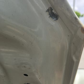 Nissan Micra Marka Araç Boya Sorunu!