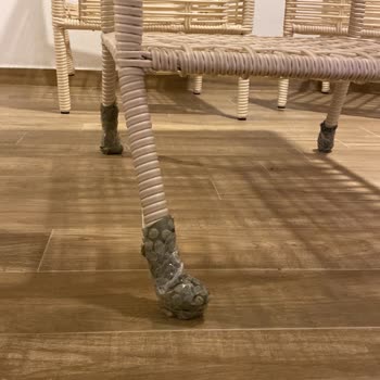 Vivense Kargo Şirketinin Azizliği