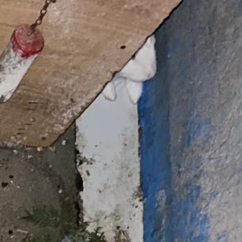 Doğata Tavşan Kafesi Değil Sanki Çöp Yuvası Yazıklar Olsun!