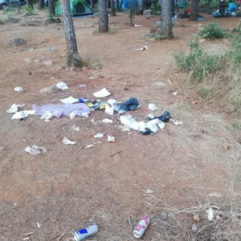 Akyaka Orman Kampı Mikrop Yuvası Akkaya Kamp Alanı