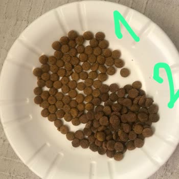 VanCat Market Müşteri Şikayetine Dönüş Yapmıyor