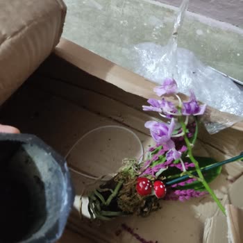 Çiçek Siparişi Konusunda Osevio Çiçekçilikten Hayal Kırıklığı