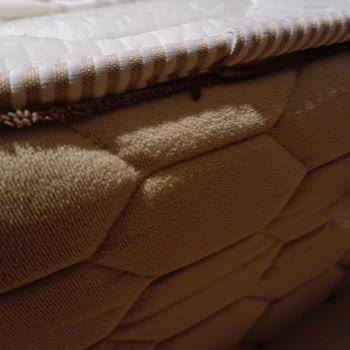 Kartal Suite Yatakta Böcek Sorunu