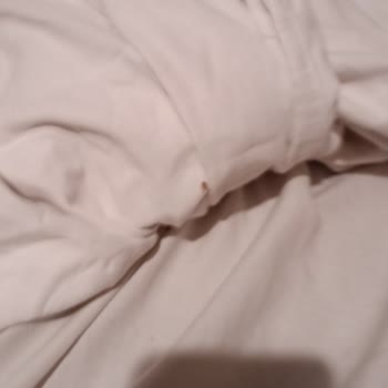 Kartal Suite Yatakta Böcek Sorunu