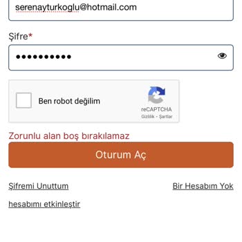 VFS Global Sitesine Giriş Yapamıyorum