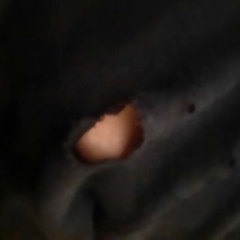 Lc Waıkıkı Bacak Arası Yırtıkları