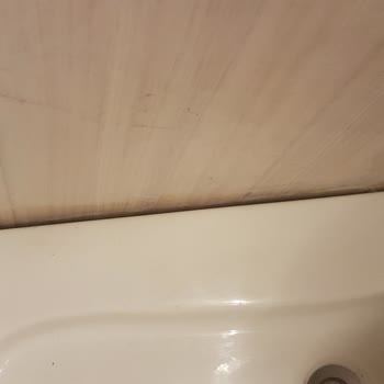 Angora Karavan Memnuniyetsizliği