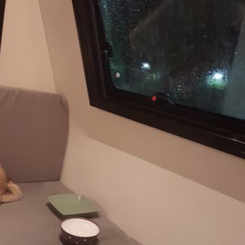 Angora Karavan Memnuniyetsizliği