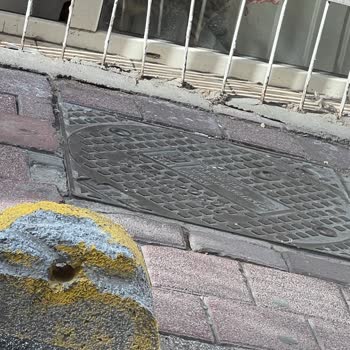 Çevre, Şehircilik Sokak Kedilerini Evde Besleyen Komşu, Koku, Bahçe İhlali