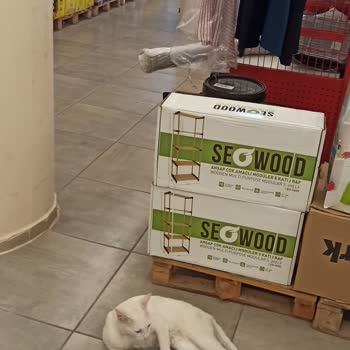 Şok Marketler Evcil Hayvan Besleme Sorunu