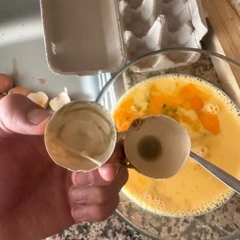 Enver Ağa Yumurta Sorunu!