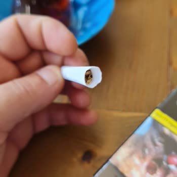 Parlement Ten Çıkan Bos Sigaralar