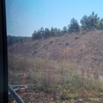 Kamil Koç Otobüsünde Yaşanan Sorunlar