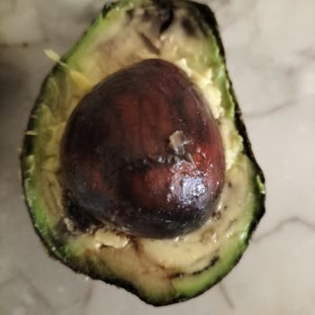 Nur Gross Süpermarket Bilerek Bozuk Çürümüş Ürünü Satmaları