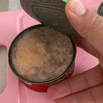 Superfresh Ton Balığı Küflü Ve Bozuk