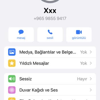 WhatsApp Arama Ve Mesajlar