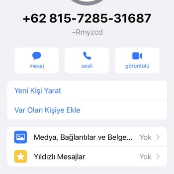 WhatsApp Arama Ve Mesajlar