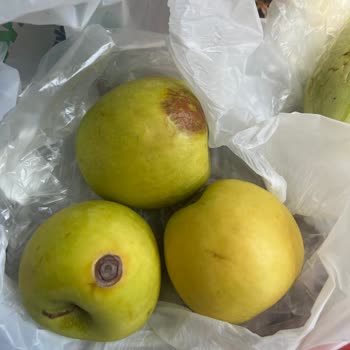 Kim Market Ürün Kalitesi Eksik Ürün