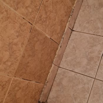 Afytos Akçay Otel Kötü Tatil Deneyimi