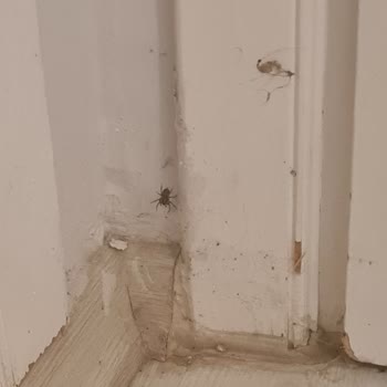 Afytos Akçay Otel Kötü Tatil Deneyimi