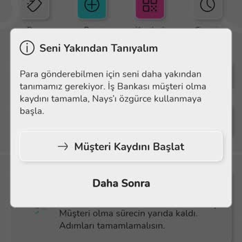 Nays Hesaba Gönderilen Parayı Çekemiyorsunuz