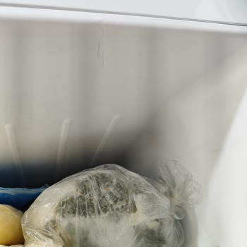 Bosch Marka Buzdolabı Çatlağı