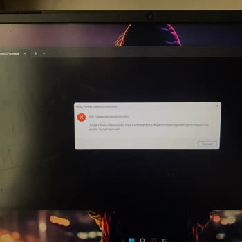 Monster Laptop Donma Sorunu.