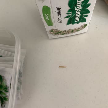 Carrefour SA Beyaz Çayın İçinden Kurt Çıktı