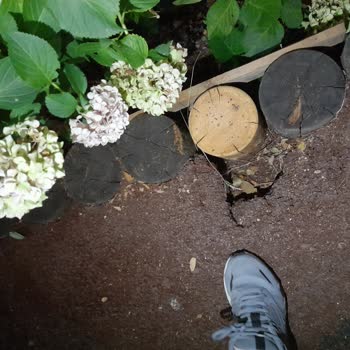 İBB - İstanbul Büyükşehir Belediyesi Bakim, Temizlik Ve Aydınlatma