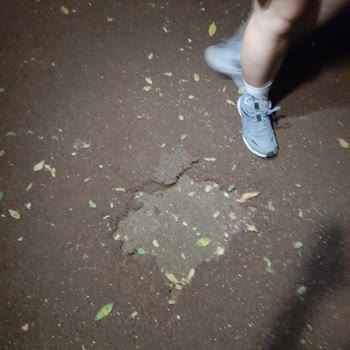 İBB - İstanbul Büyükşehir Belediyesi Bakim, Temizlik Ve Aydınlatma