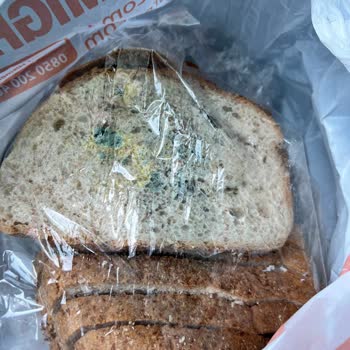 Migros'un Küflü Ekmeği