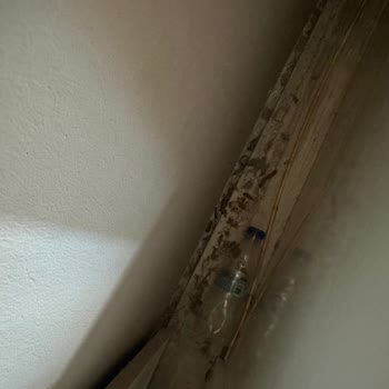 Serenis Hotel 5 Yıldızı Hak Etmiyor Kesinlikle