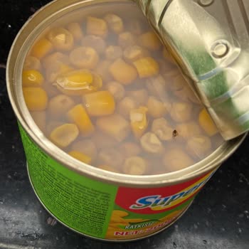 Superfresh Konserve Mısırdan Çıkan Sinek