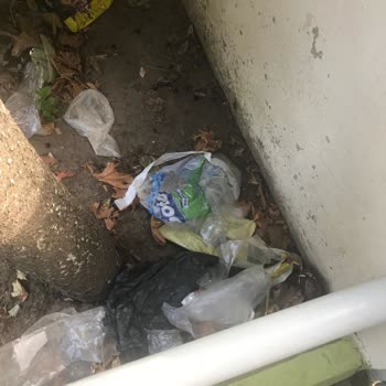 Balıkesir Büyükşehir Belediyesi Kapı Önü Çöp Konteyner Sorunu