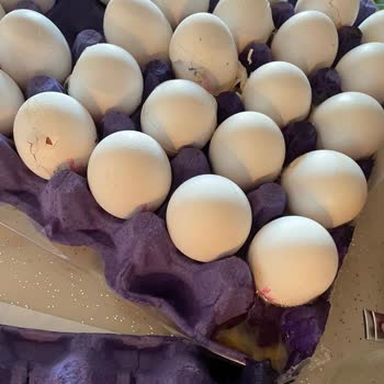 04.08.2023 Günü Trendyol Market Üzerinden Mamak Altunbilekler Market