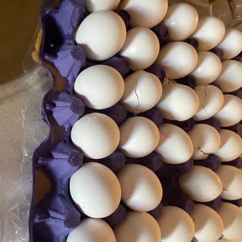 04.08.2023 Günü Trendyol Market Üzerinden Mamak Altunbilekler Market