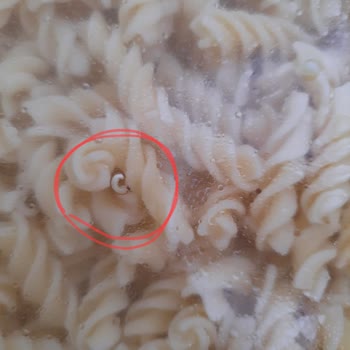 Anpa Gross Market Anpa Gross Filiz Makarna Kurt Çıkması