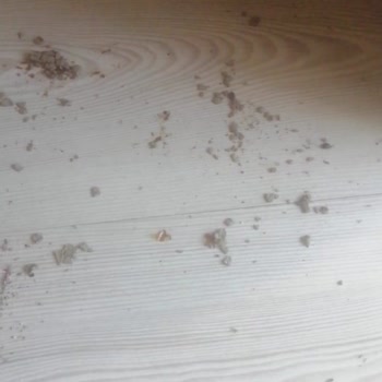 Perre Art Hotel Tatilbudur Perre Art Resort 24 -28 Temmuz 2023 Kötü Tatil