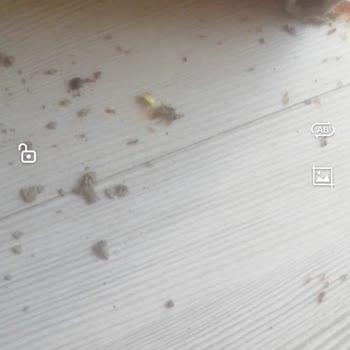 Perre Art Hotel Tatilbudur Perre Art Resort 24 -28 Temmuz 2023 Kötü Tatil