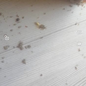 Perre Art Hotel Tatilbudur Perre Art Resort 24 -28 Temmuz 2023 Kötü Tatil