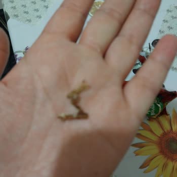 BİM Kekin İçinden Yabancı Madde Çıktı