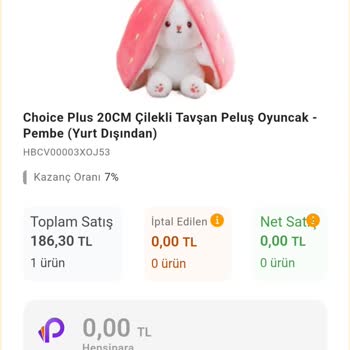 Hepsiburada Linkgelir Hepsipapellerimi Vermiyor