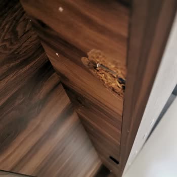 Vivense Baza Kalitesizliği Ve Kötü İşçilik