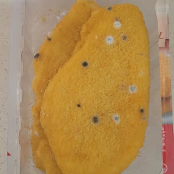 Migros'dan Alınan CP Piliç Küflü Çıktı