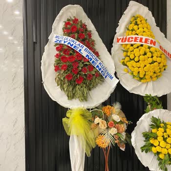 Osevio Firması Gönderdiği Ürünün Sorumluluğu Almıyor!