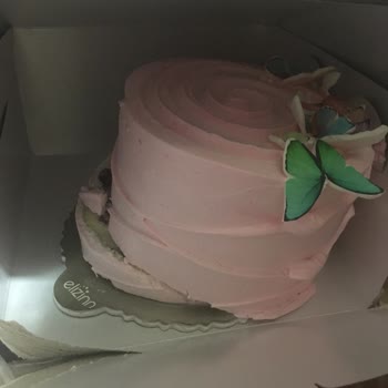 Elizinn Pastanesi Doğum Günü Pastası Özensizliği!